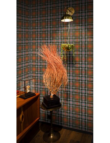 Papier peint tartan - Queen of Punk - Objet de Curiosité prix pour 