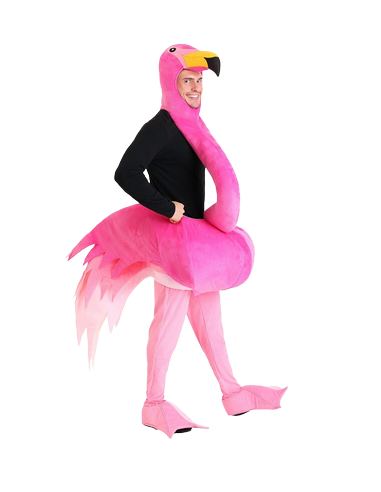 Costume Flamant Rose Homme soldes