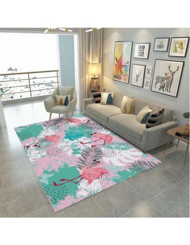 Tapis Flamant Rose Frontignan meilleur choix