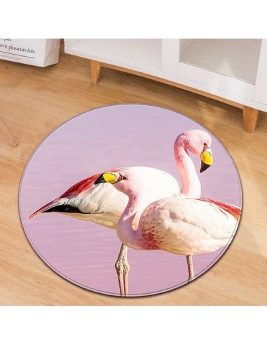 Tapis Rond Flamant Rose Camargue paiement sécurisé