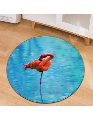 Tapis Rond Flamant Rose Réaliste suggérées chez