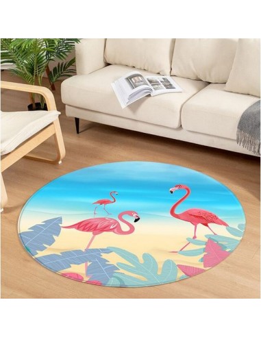 Tapis Rond Flamant Rose Déco la colonne vertébrale