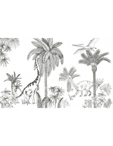 Décor de 4m x 2,48m - Papier peint dinosaure EPOCH offre 